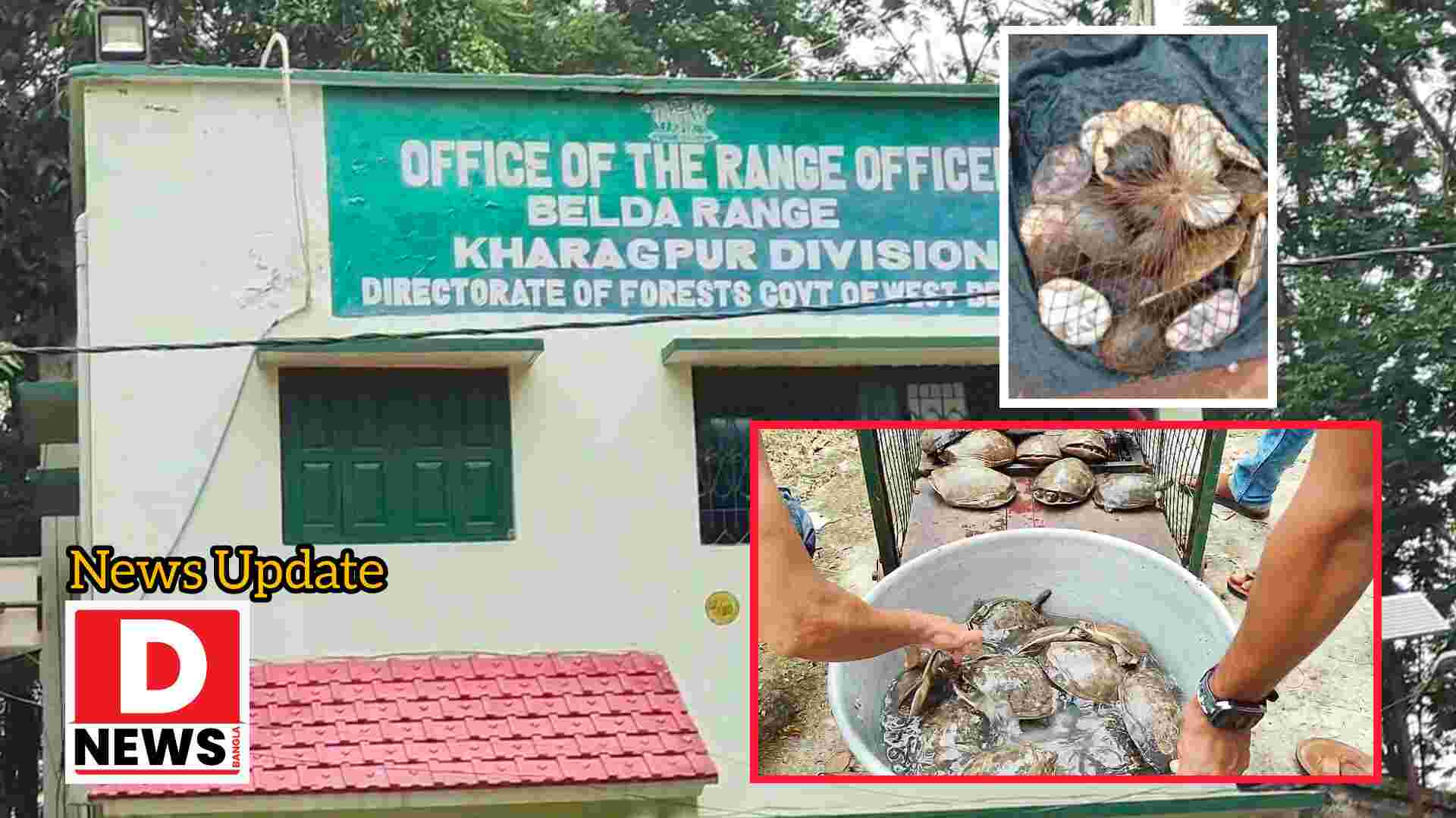The Turtle : বর্ডার এলাকায় অবৈধভাবে কচ্ছপ বিক্রির অভিযোগ! অভিযান চালিয়ে 28 টি কচ্ছপ উদ্ধার,গ্রেফতার 1 জন