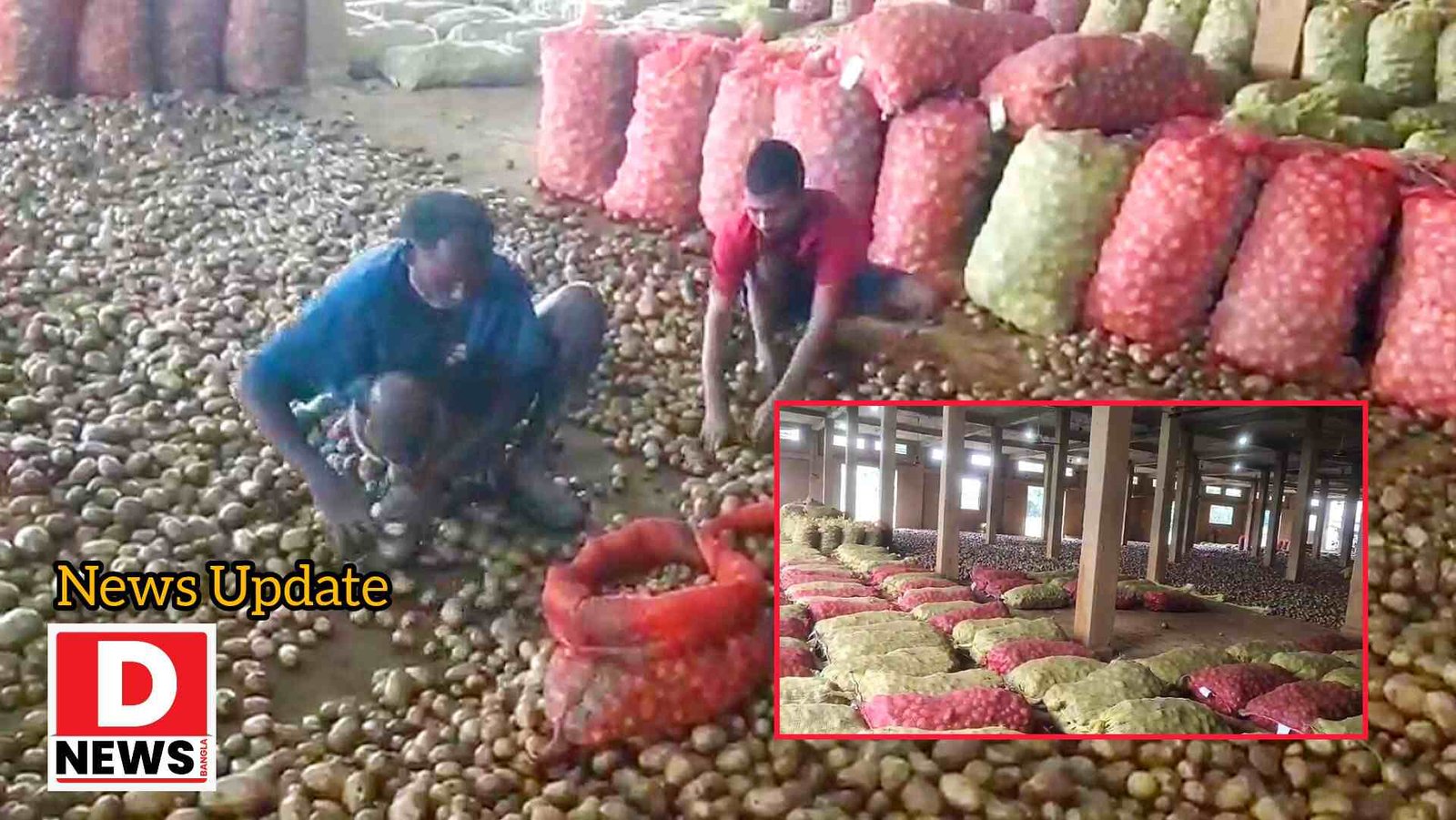 Poteto Problem : হিমঘরে মজুত আলুর দাম নেই, বিক্রি করতে হিমশিম জেলার কৃষকদের! মজুত আলুর ভবিষ্যৎ নিয়ে দুঃশ্চিন্তায় কৃষকেরা